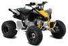 Can-Am DS X 90 2013